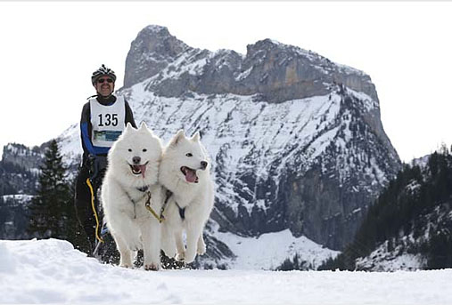 Weltmeisterschaft Kandersteg 2014